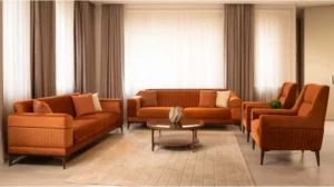 Ensemble salon Lexus — BİGA Home
