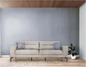 Ensemble salon Dolce — BİGA Home
