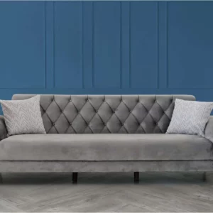 Ensemble salon Dante — BİGA Home
